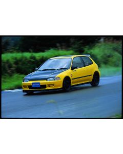 CARBON BONNET [EG[3DR]]